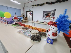 “多國風(fēng)采、別具風(fēng)格”的的圣誕節活動(dòng)